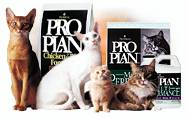 Pro Plan for Cats