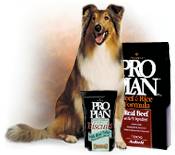 Pro Plan for Dogs