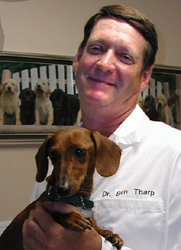 Voss Road Animal Hospital - Houston, Texas - Houston Vet - Veterinarian in  Houston, Texas